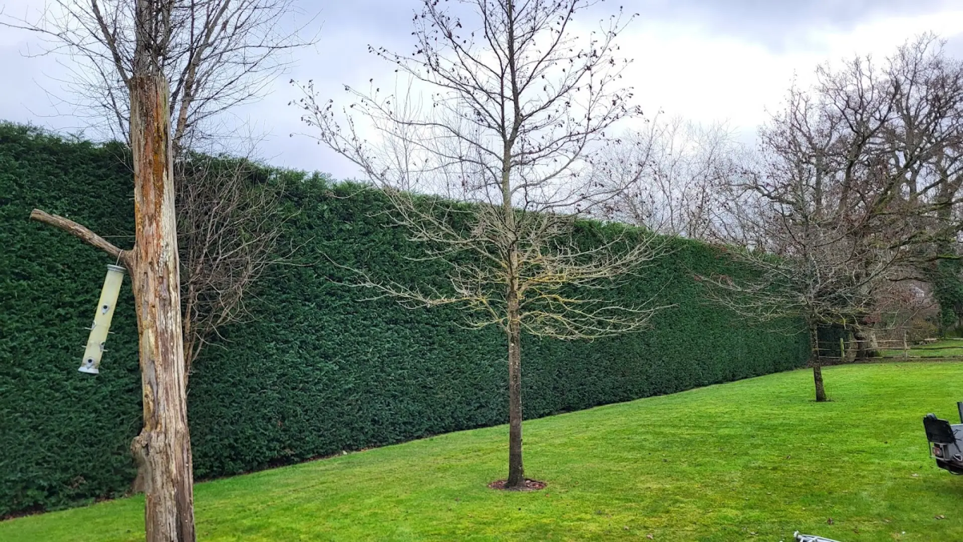 Tree Maintenance - Protecting Buildings and Infrastructure